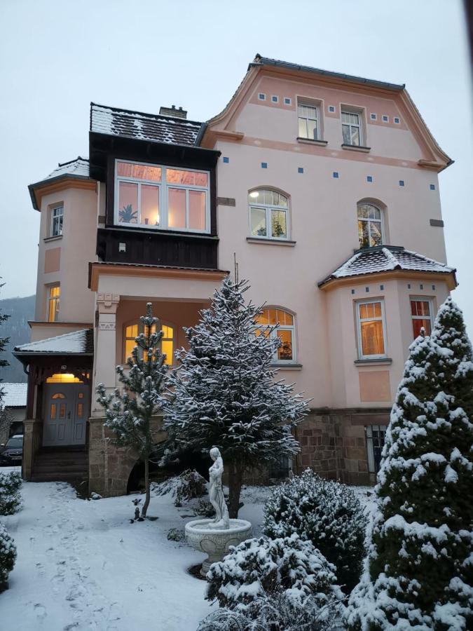 Villa Federer Dolni Zalezly エクステリア 写真
