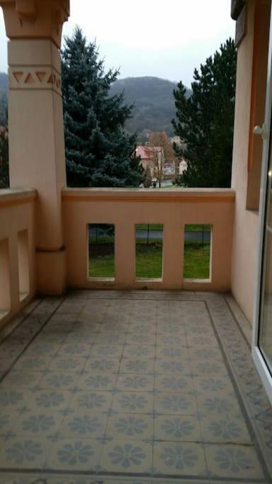 Villa Federer Dolni Zalezly エクステリア 写真